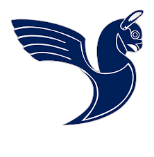 هواپیمایی هما